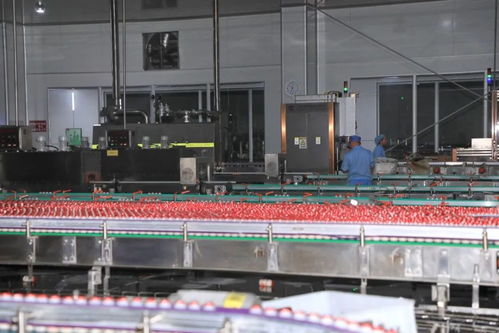 貴陽好彩頭食品新增生產(chǎn)線正式投產(chǎn)